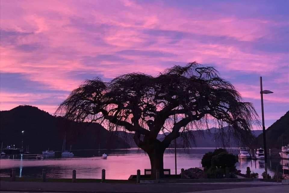 Piwaka Lodge ピクトン エクステリア 写真